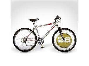 Schwinn discount ranger red